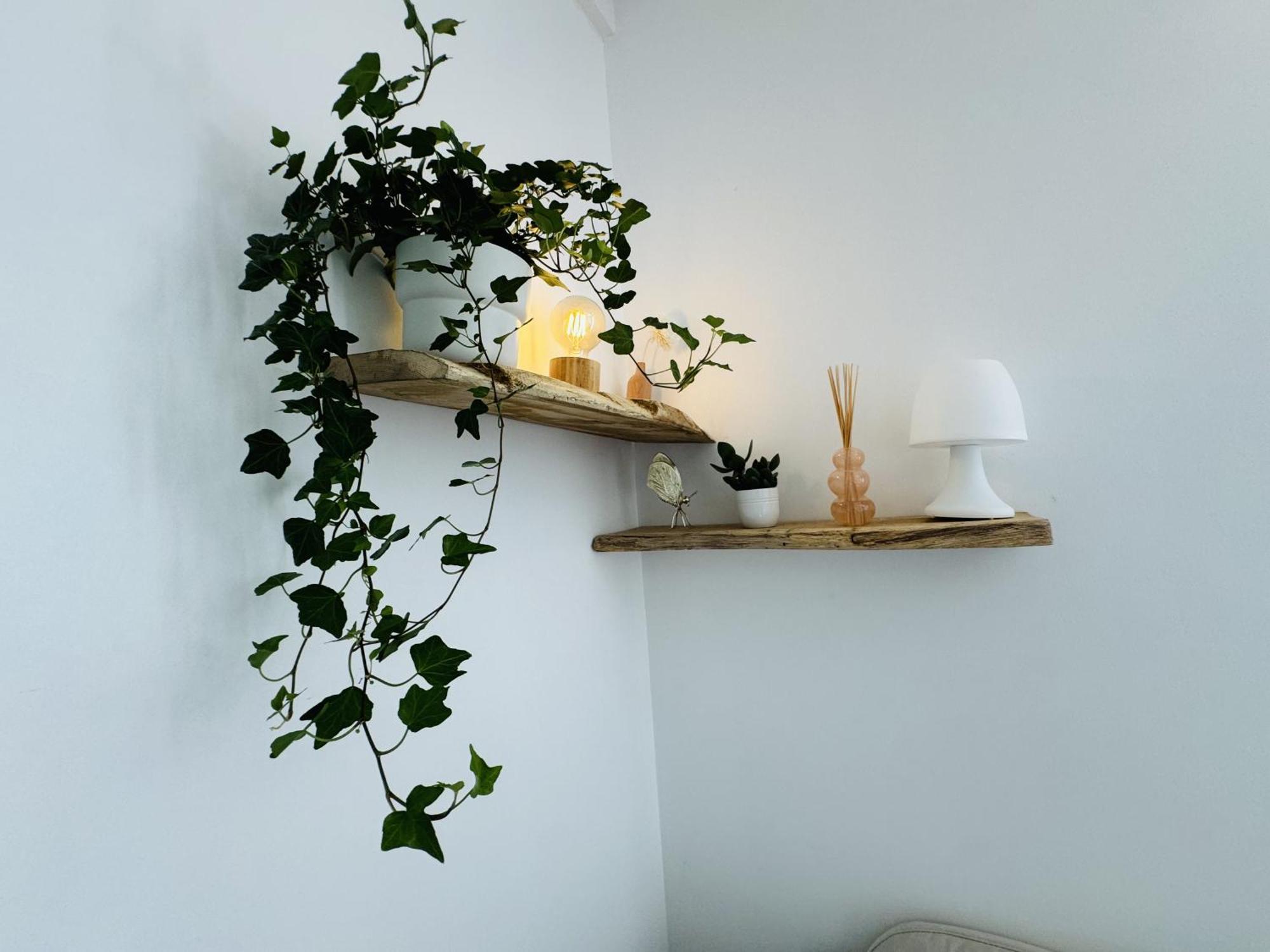 Le Piccolo - Appartement Cosy - Wifi Bègles Zewnętrze zdjęcie